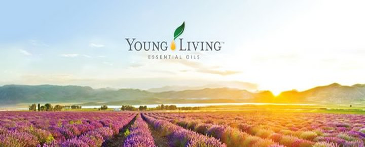 YoungLiving Logo